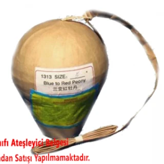 5 İnç Gök Bombası (AST-GB5)