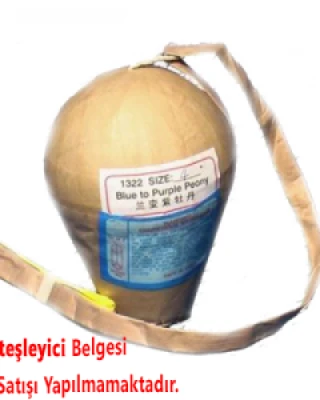 4 İnç Gök Bombası (AST-GB4)