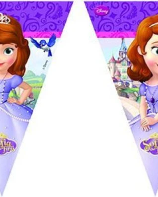 Sofia The First Bayrak Set