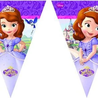 Sofia The First Bayrak Set