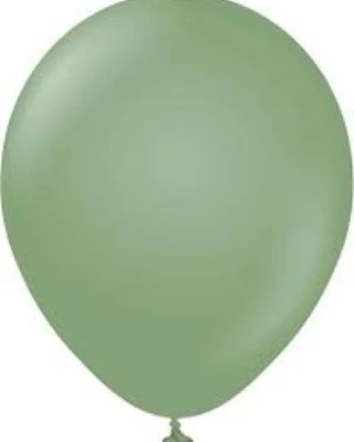 12 İnc Okaliptus Retro Balon
