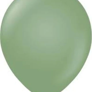 12 İnc Okaliptus Retro Balon