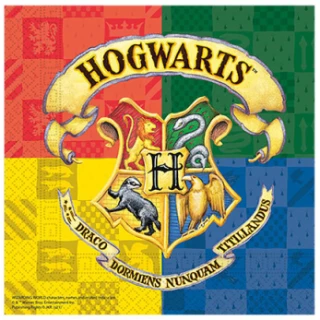 Harry Potter Hogwarts Peçete (20Ad)