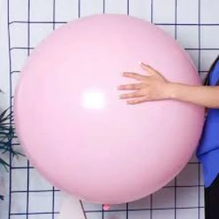 24 İNC MAKARON PEMBE BALON 2 Lİ(KAL)