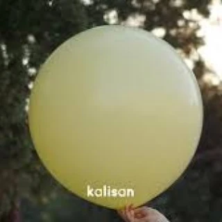24 İNC MAKARON SARI BALON 2 Lİ(KAL)