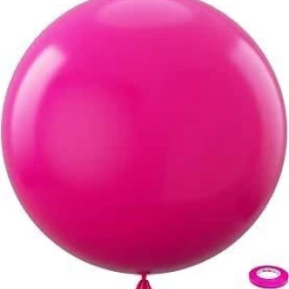 24 INC FUŞYA BALON 2Lİ