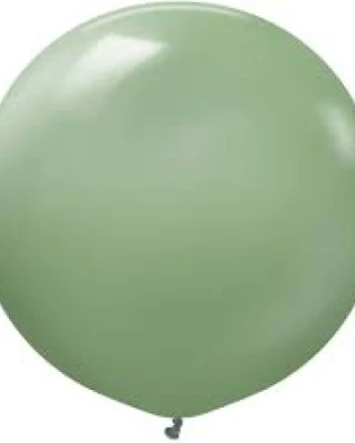 24 INC RETRO EUCALYPTUS BALON 2Lİ